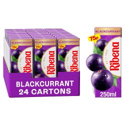 Ribena Juice Drink Carton 250ml x 24