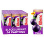 Ribena Juice Drink Carton 250ml x 24