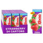 Ribena Juice Drink Carton 250ml x 24